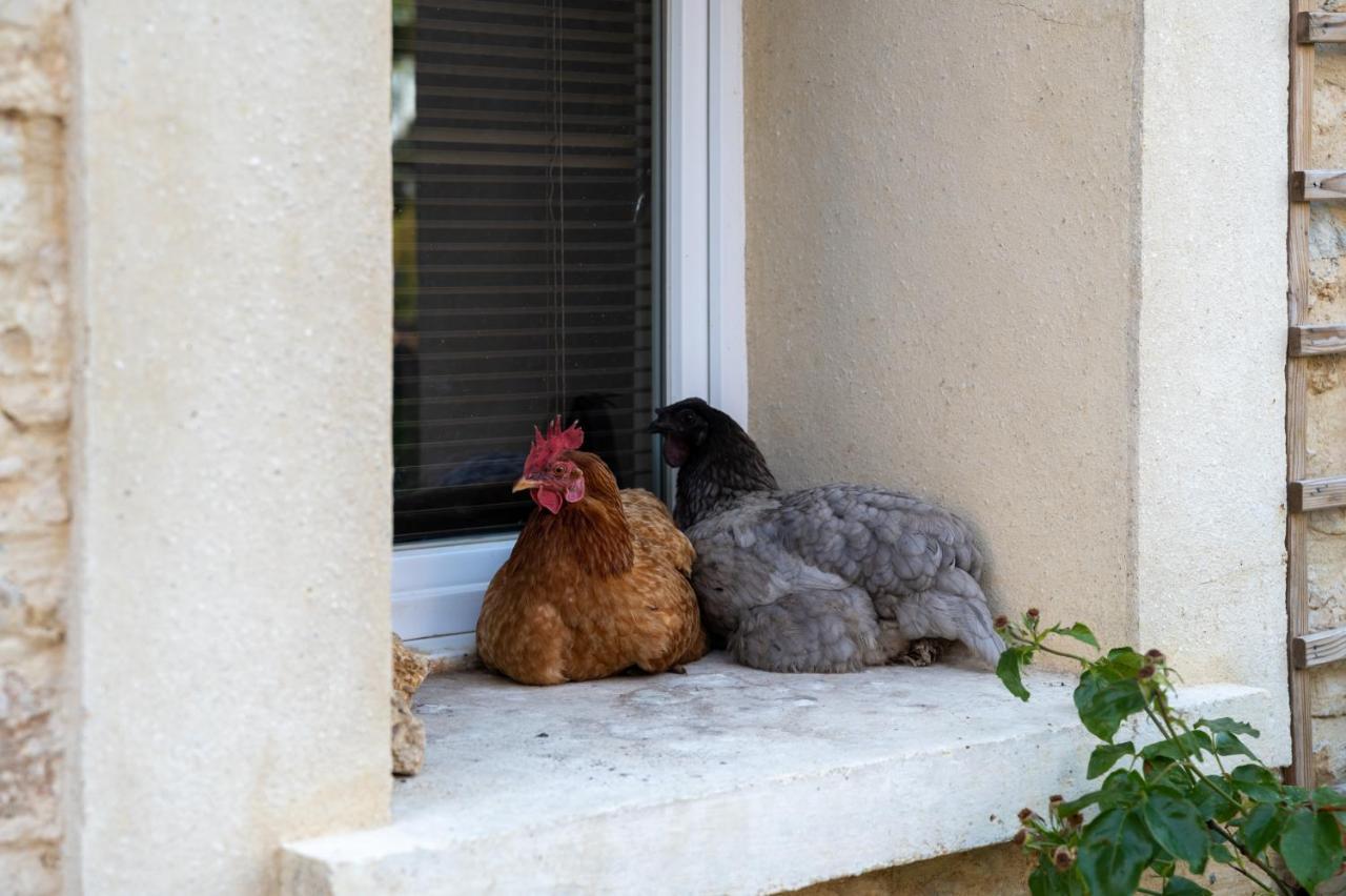 La Fralinette * Fralignes
